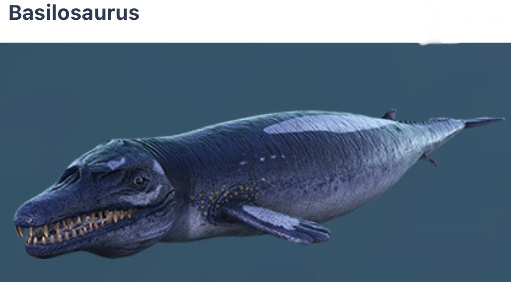 Basilosaurus