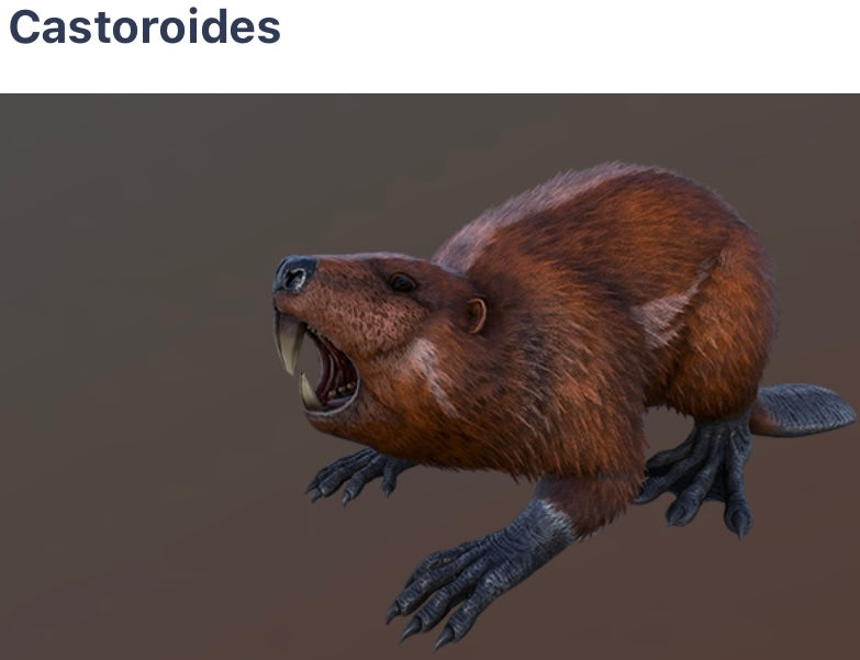 Castoroides