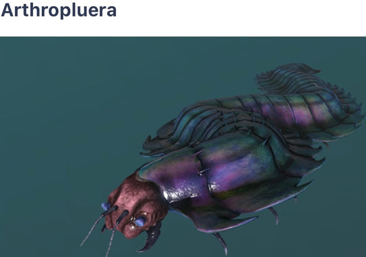 Arthroplura