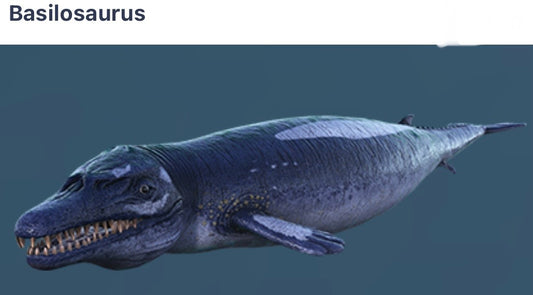 Basilosaurus