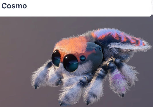 Cosmo