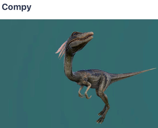 Compy