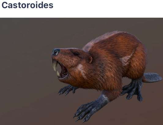 Castoroides