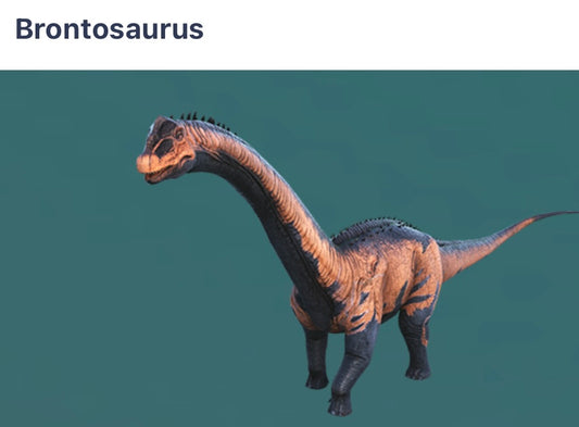 Brontosaurus