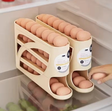 Fridge Egg Storage