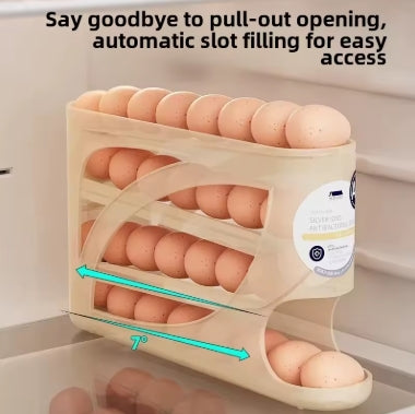 Fridge Egg Storage