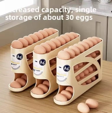 Fridge Egg Storage