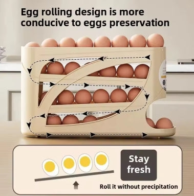 Fridge Egg Storage