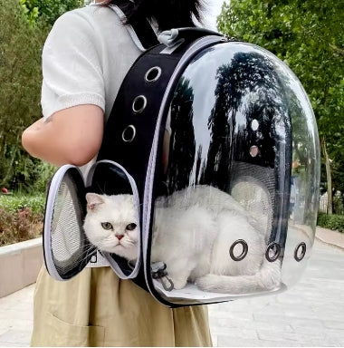 Pet Carry Bag