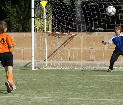 Soccer Practice Net