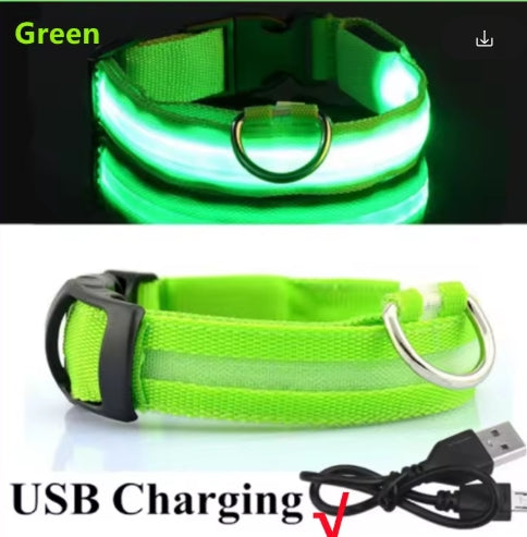 USB Rechargeable Luminous Collar Adjustable Led Glowing Collar