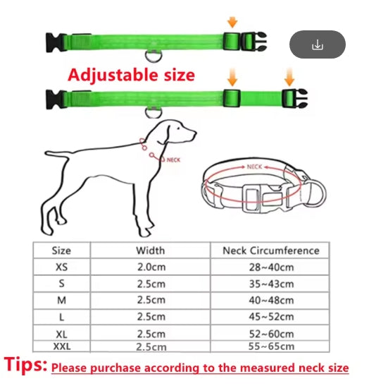 USB Rechargeable Luminous Collar Adjustable Led Glowing Collar