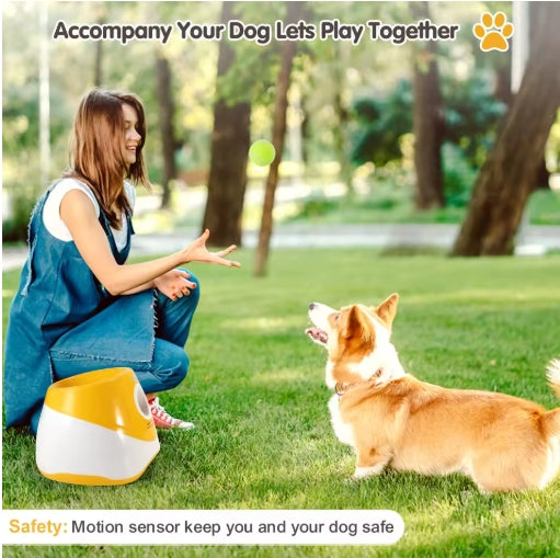 Automatic Dog Ball Thrower with 3 Balls