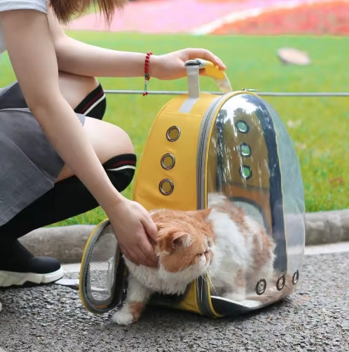 Transparent Pet Backpack