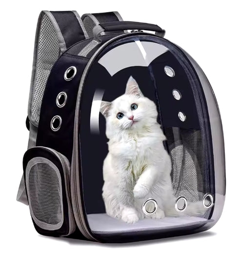 Transparent Pet Backpack