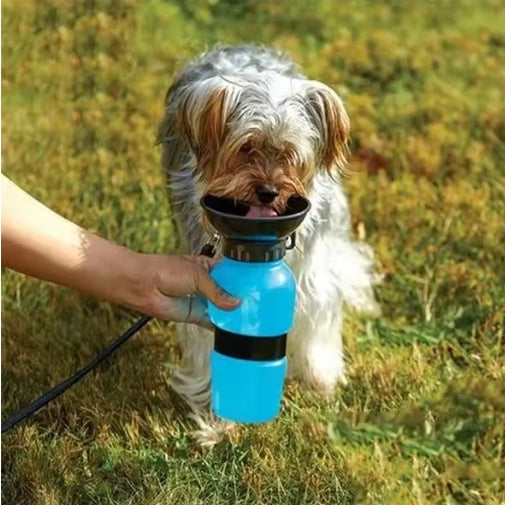 Water feeder bowl On-the-go