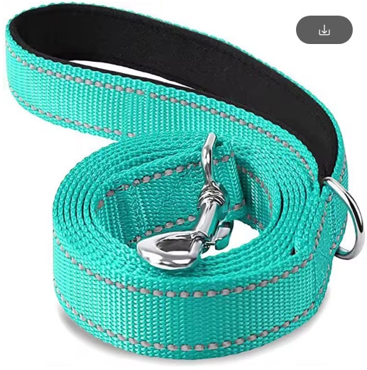 Night Reflection Dog Pet Leash