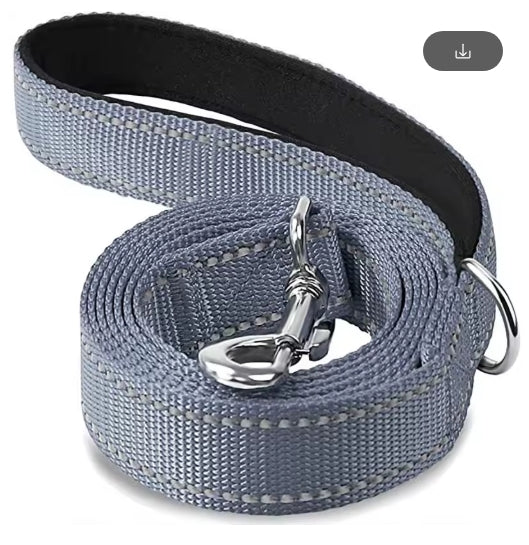 Night Reflection Dog Pet Leash