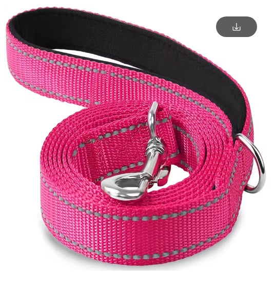 Night Reflection Dog Pet Leash