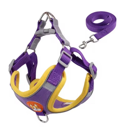 Adjustable Harness Leash