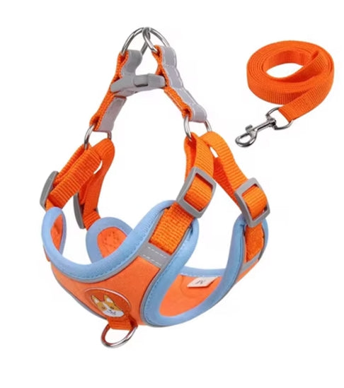 Adjustable Harness Leash