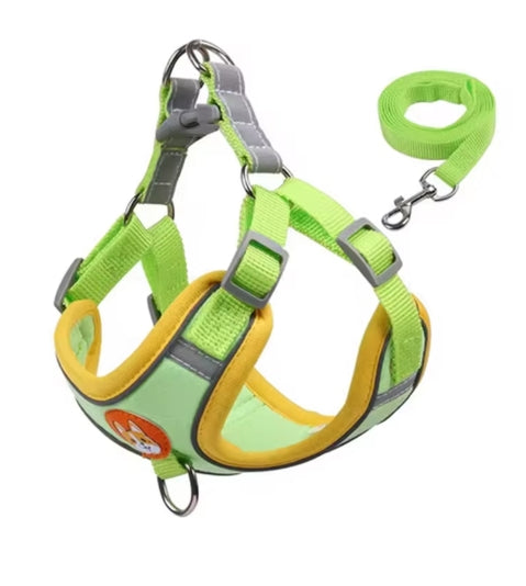 Adjustable Harness Leash